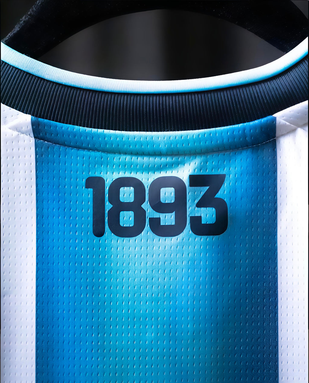 Argentina 2026 World Cup Home Jersey (Fan Version)