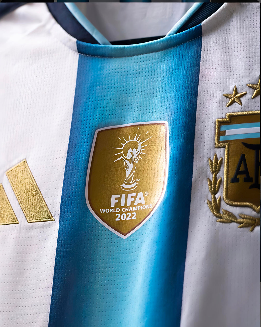 Argentina 2026 World Cup Home Jersey (Fan Version)